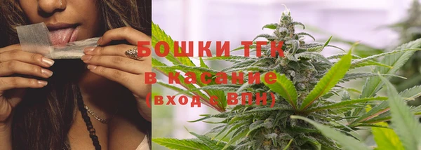ECSTASY Горняк
