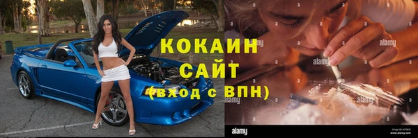 ECSTASY Горняк