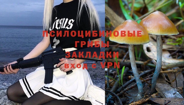 молекула духа Горно-Алтайск