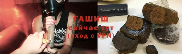 ECSTASY Горняк