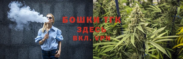 ECSTASY Горняк