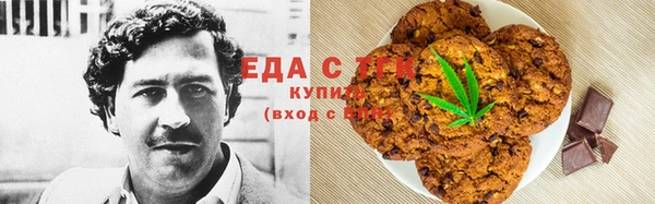 ECSTASY Горняк
