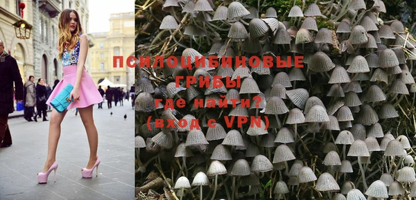 эйфоретик Горнозаводск