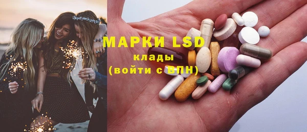 ECSTASY Горняк