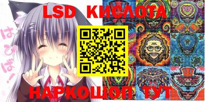 индика Аргун