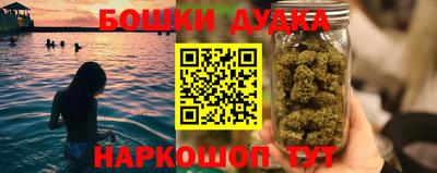индика Аргун