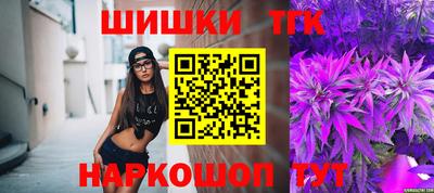 индика Аргун