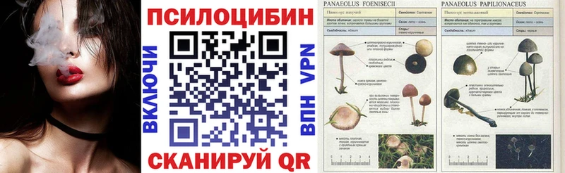 купить наркотик  Вольск  Галлюциногенные грибы GOLDEN TEACHER 