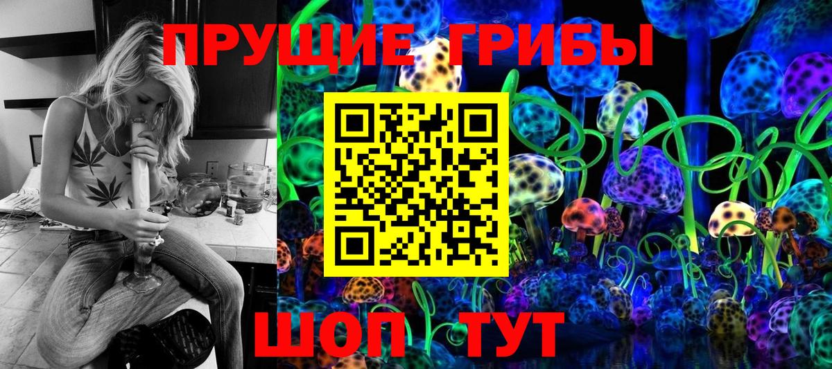 Вольск  сколько стоит  Вход с VPN  Галлюциногенные грибы ЛСД 