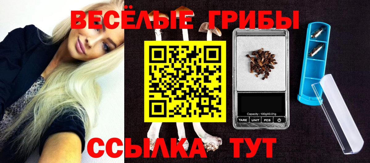 Псилоцибиновые грибы MAGIC MUSHROOMS Вольск