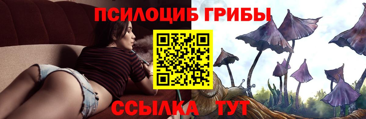 Галлюциногенные грибы MAGIC MUSHROOMS Вольск